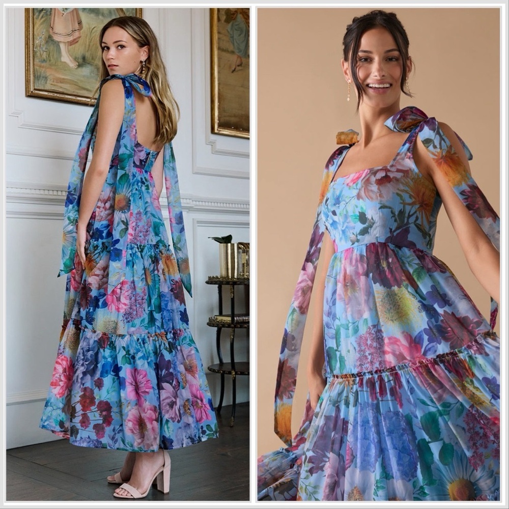 NWT Francesca's Rosie French Floral Maxi